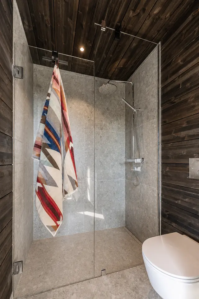 Walk-in shower, alternative view